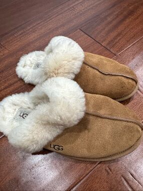 UGG Chestnut Suede Sheepskin Clog Slippers with Cream Shearling